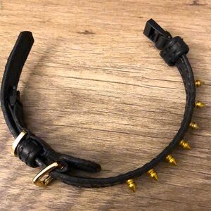 Leather Bracelet/ Spiked pet collar